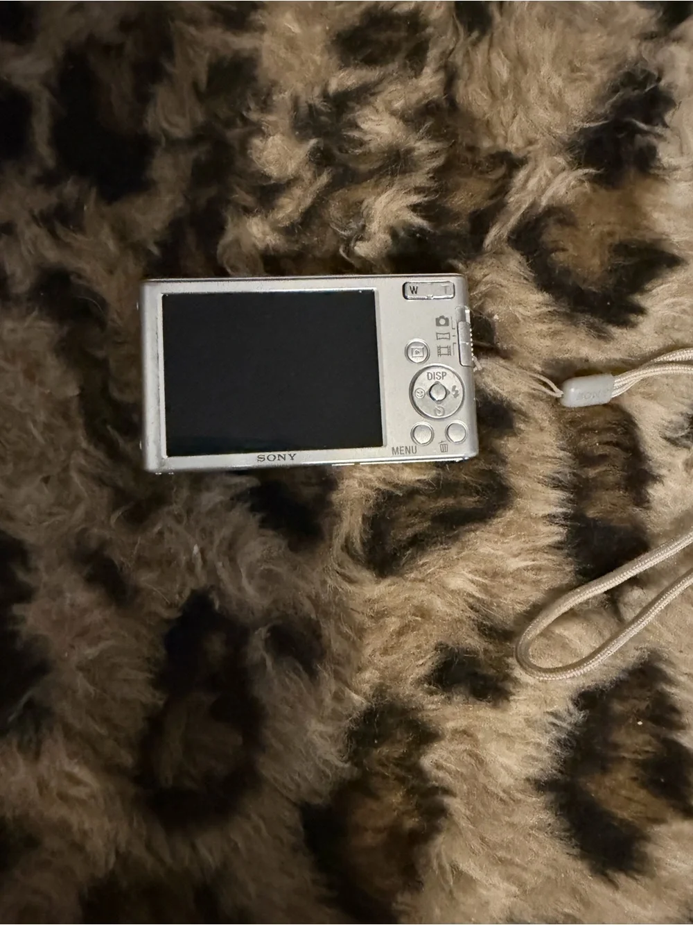 Sony Silver Compact Digital Camera - 20.1MP, 8x Optical Zoom
